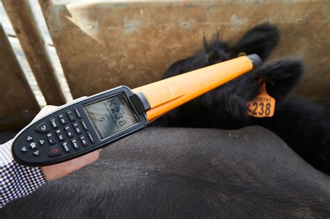 livestock rfid scanner|gallagher electronic tag readers.